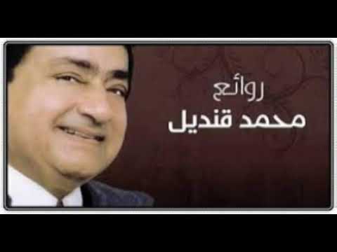 سماح سهرة فنية خاصة محمد قنديل