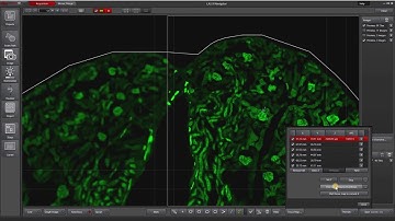 Leica LAS X Navigator: Focus Map