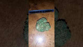 Fern Valley Farms hemp flower T1 and Harley B