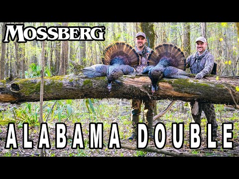Alabama Double and a Hog | Spring Collective