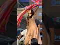 Beautiful chunari #poojahegde ki with#varundhawan at event #shortsviral ##trendingshorts #viral