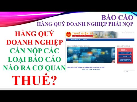 Video: Báo Cáo Thuế Mới Năm 2016: 6-NDFL