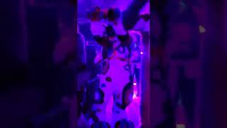 Furries at disco!