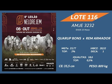 LOTE 116