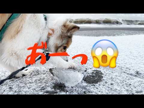 A spectacular view of Hokkaido that can only be seen in winter] A