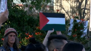 Pro-Palestine protesters interrupt Parade of Lights in Armory park