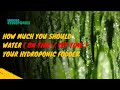 Ashwin Sawant | How Much You Should WATER ( On Time / Off Time ) your Hydroponic Fodder