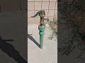 water pump #fairyliberationfront 9-2-25 3:26 pm