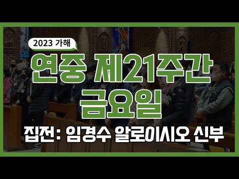 영상썸네일