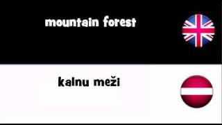 TRANSLATE IN 20 LANGUAGES = mountain forest