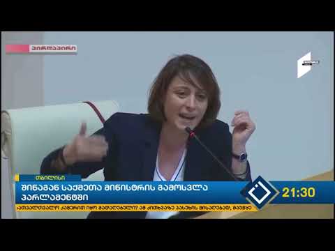 შინაგან საქმეთა მინისტრის გამოსვლა პარლამენტში