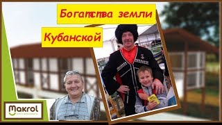 Птичий Рынок. 25,02,18, Обзор. Кропоткин. Краснодарский край. Макляк. Макроол. Птичий Рынок. 25,02,18, Обзор. Кропоткин. Краснодарский край. Макляк. Макроол.