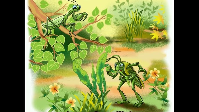 Үлкен қара әйелмен порно Орыс порносы бірнеше рет конча