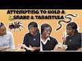 Attempting to hold a snake🐍 & tarantula🕷 with my sisters😖