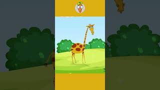 Girafa #lumealuimorcovel #cantecepentrucopii #sainvatamcumorcovel #deseneanimate