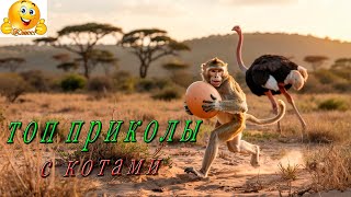 СМЕШНЫЕ ЖИВОТНЫЕ  ПРИКОЛЫ #шутки #юмор #смех # позитив #joke #laughter 2025