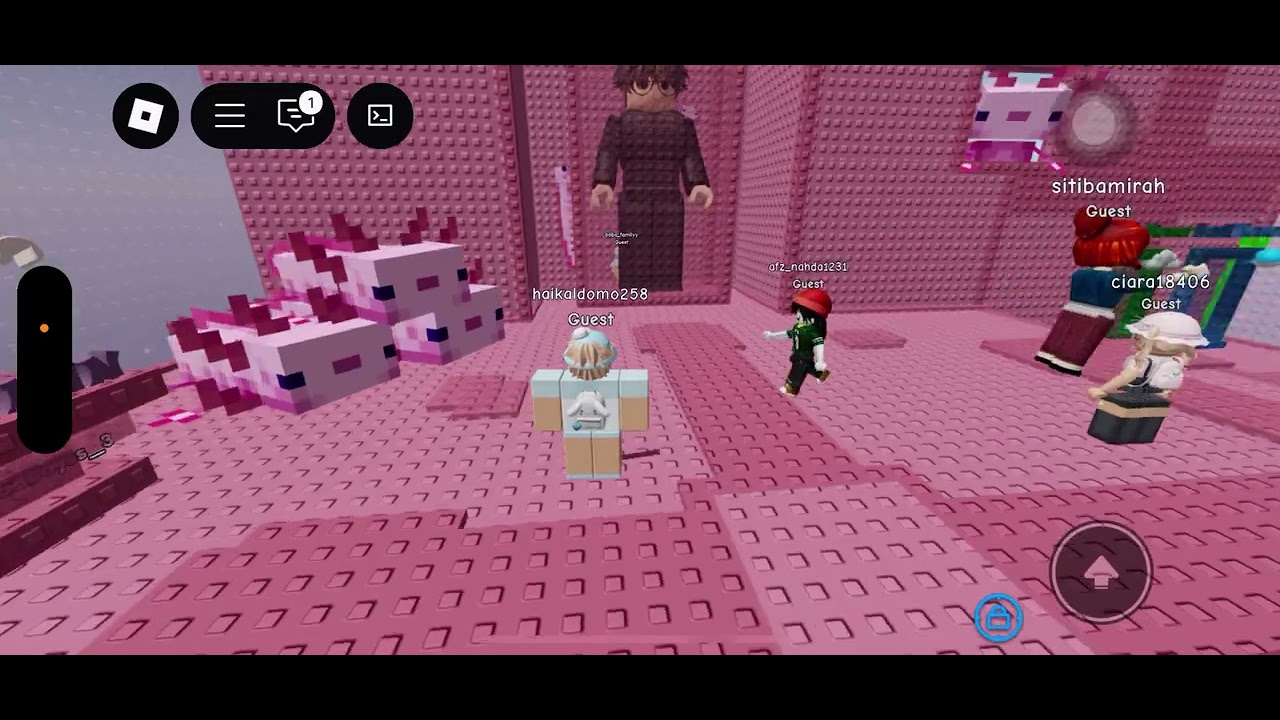 aku bisa jadi mimin akudav boba sama acil#roblox 