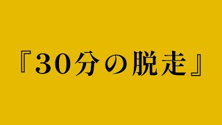 30分の脱走/初音ミク