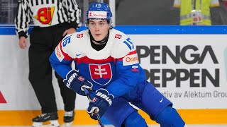 Dalibor Dvorsky - 2024 World Juniors Highlights