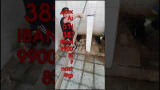 Animals House Rescue - Полная версия