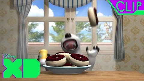 BACKKOM BEAR 2 HOW TO FOOD THE FAT DISNEY XD