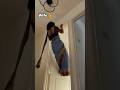 Wait for end wife Jim lover😂😂|#shortsfeed #trending #comedy #youtubeshorts #jim #fun #waitforend