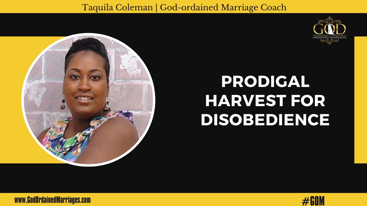 The Harvest Prodigal's Will Reap for Disobedience to the Lord #prodigal #judgement
