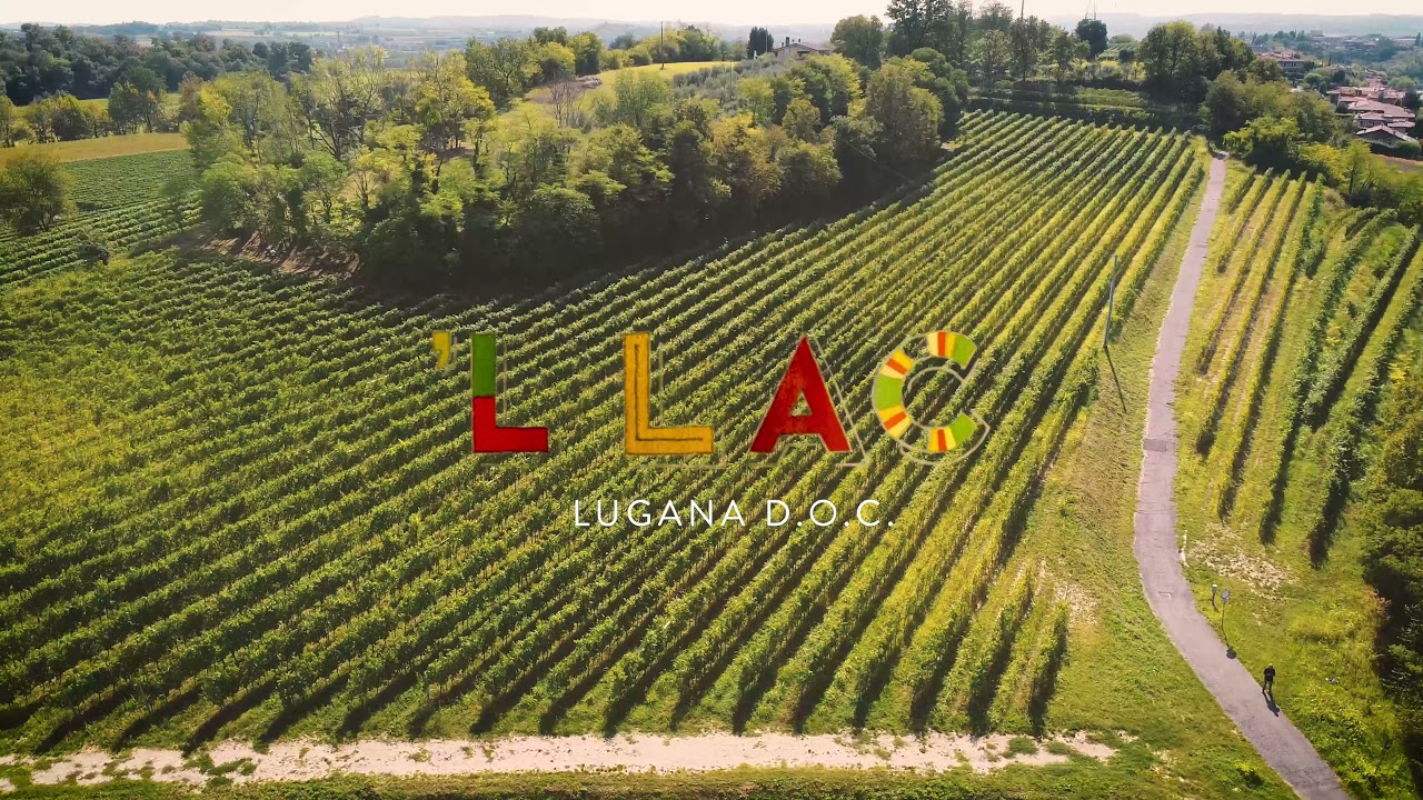 L' LAAC Lugana D.O.C. | Az. Agr. Cavalchina