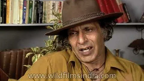 Ashok Mehta - "Film direction has no hassle"