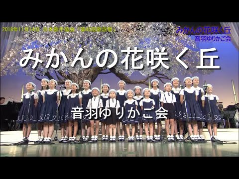 みかんの花咲く丘 - 音羽ゆりかご会