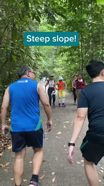Sg Unfit Runner visits Bukit Timah Reserve and challenge the slopes!