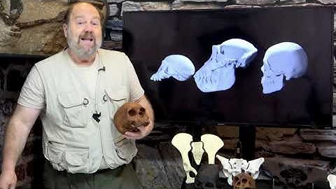 The Human Fossils, Part 36 the Complete Creation 3rd edition