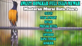 MASTERAN MURAI BATU PAGI SIANG MALAM FULL ISIAN KENARI CILILIN LOVEBIRD KAPAS TEMBAK CUCAK JENGGOT