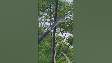 Tôi làm con rựa quắm phát rẫy bằng thép ốc vít máy bay chặt cây như chặt chuối vậy