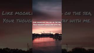 Dil Se Shayari 💕 #shorts #shayari #emotions #love #status #support #viralvideo #soft #song #fyp screenshot 4