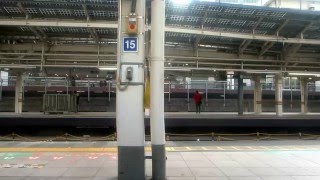 E231系近郊型　上野東京ライン高崎線直通快速アーバン(籠原)高崎行き　車窓