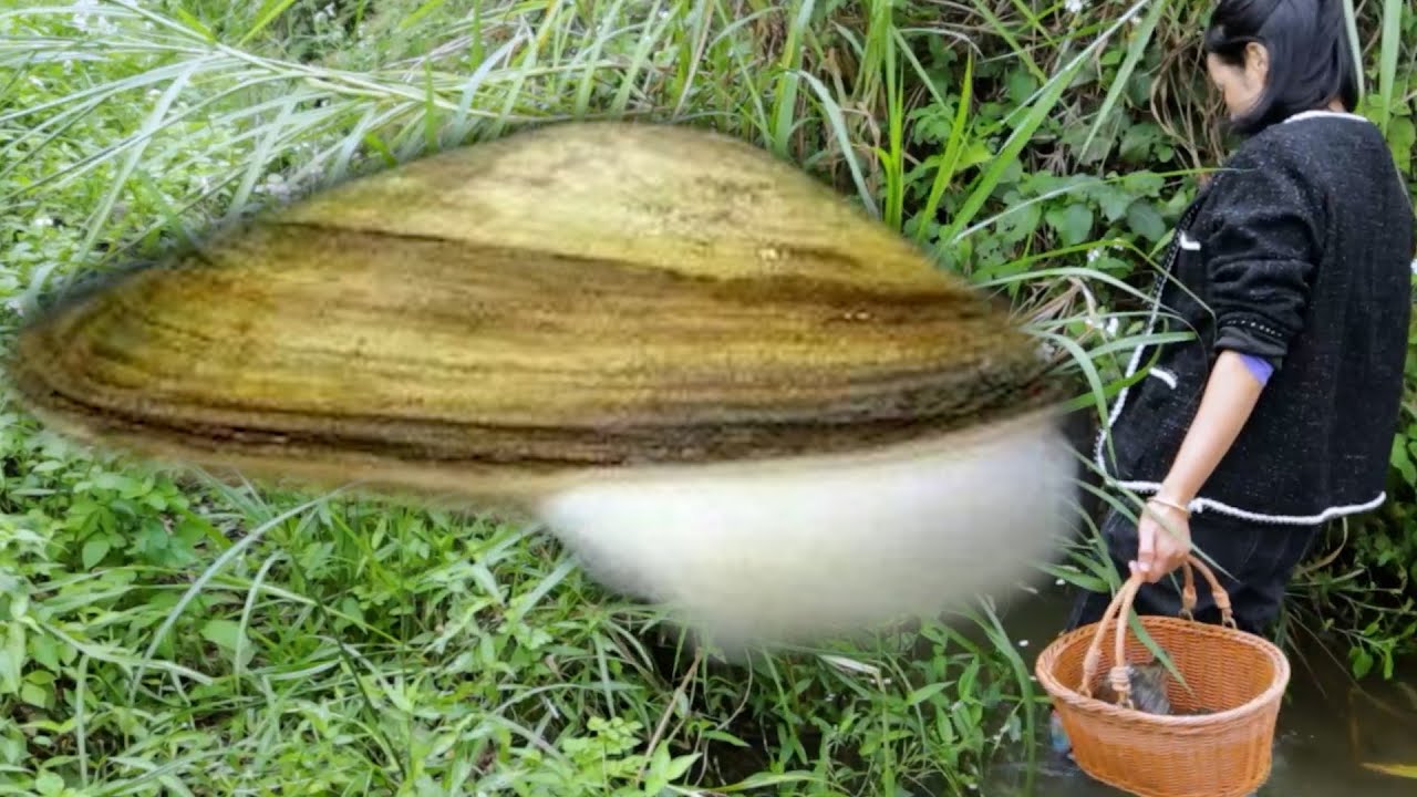 The daily life of rural girls is selling pearls, and today is a special day