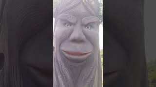 Talking Tree Iceland Short Tree Vlog