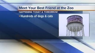 Meet Your Best Friend at the Zoo pet adoption