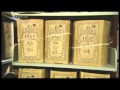 The vatican secret archives