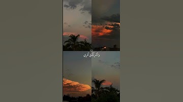 شريف مصطفى • ما تيسر من سورة طه