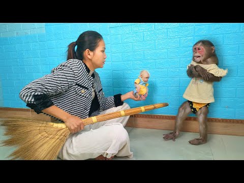 MiMi sorry baby monkey Su for fighting for food