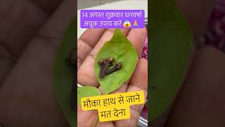 14 अगस्त शुक्रवार अचूक गेहूं उपाय #pradeepmishra #pradeepmishrakiketotke #pradeepmishrajidhankeupay