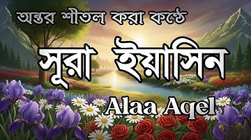 🌅 প্রতিদিন সকালে শুনুন সূরা ইয়াসীন | Surah Yasin (سورة يس) | মন শান্ত করা কুরআন তেলাওয়াত