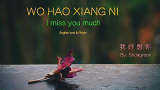 I miss you much chinese slow and lovely song ( wo hao xiang ni)