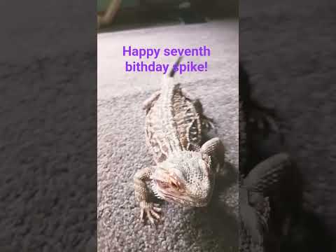Happy bday spike!