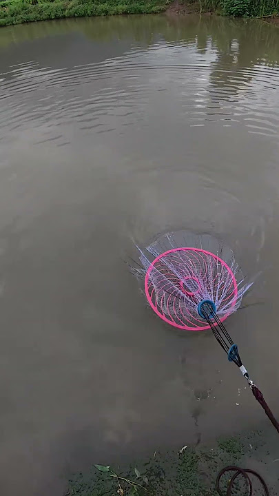 It turns out that catching fish can be easy. Little girl casts a net to catch fish