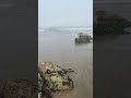 Barnacle Rocks #video #beach #asmrsounds #oregon #beautiful