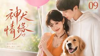 《神犬情緣》09：她追愛男神慘遭神犬拆台，誰料冤家救生員竟把她寵成命！💕#王安宇 #田曦薇  #中国电视剧 #爱情  #爽剧   #都市甜宠 #言情剧 #drama  #高颜值甜剧 screenshot 5