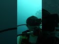 #nature #scuba #travelblog #adventuresport #scubadiving #scubadivingaddicts #scubalove #scubagirl